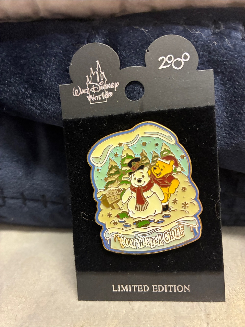 Walt Disney World Winnie the Pooh Winter Pin - Limited Edition